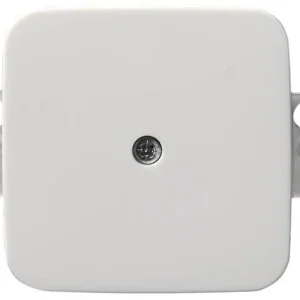 Begränsat erbjudande Centrumplatta